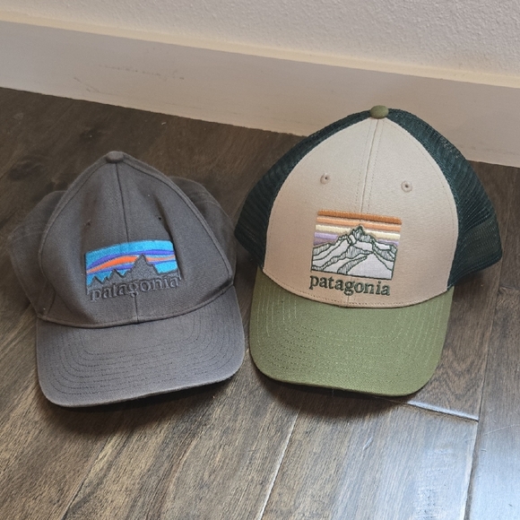 Set of 2 Patagonia Hats, Gray and Olive Trucker Hats, GUC - Picture 1 of 6